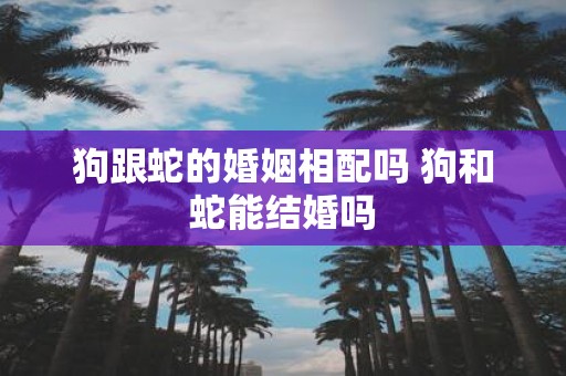 狗跟蛇的婚姻相配吗 狗和蛇能结婚吗