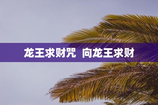 龙王求财咒 向龙王求财