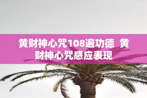 黄财神心咒108遍功德 黄财神心咒感应表现