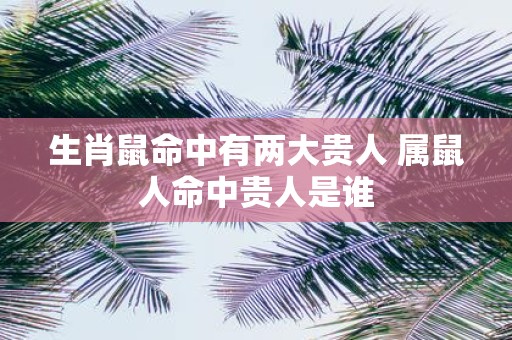 生肖鼠命中有两大贵人 属鼠人命中贵人是谁