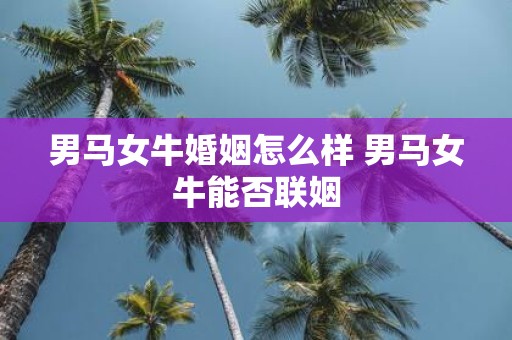 男马女牛婚姻怎么样 男马女牛能否联姻