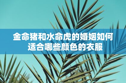 金命猪和水命虎的婚姻如何 适合哪些颜色的衣服