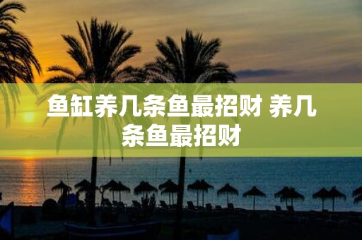 鱼缸养几条鱼最招财 养几条鱼最招财