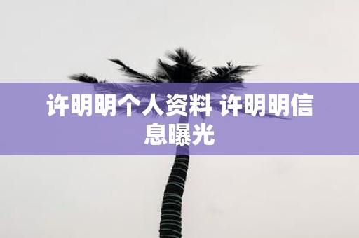 许明明个人资料 许明明信息曝光
