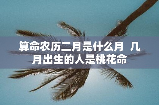 算命农历二月是什么月 几月出生的人是桃花命