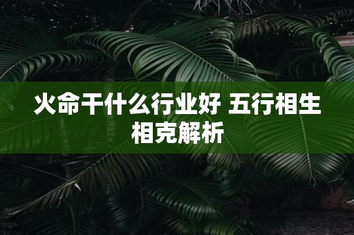 火命干什么行业好 五行相生相克解析