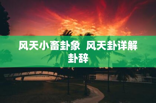风天小畜卦象 风天卦详解卦辞