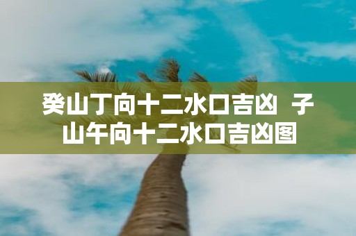 癸山丁向十二水口吉凶 子山午向十二水口吉凶图