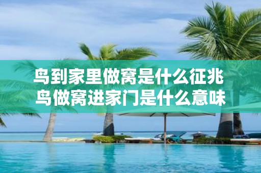 鸟到家里做窝是什么征兆 鸟做窝进家门是什么意味