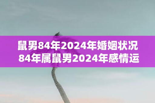 鼠男84年2025年婚姻状况 84年属鼠男2025年感情运势
