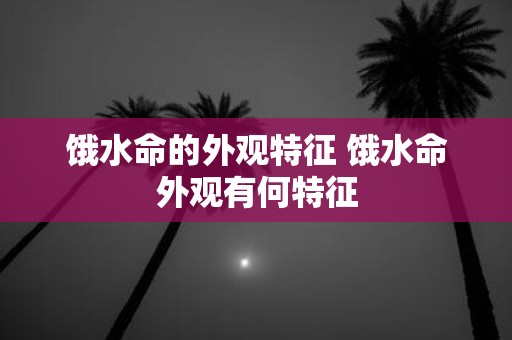 饿水命的外观特征 饿水命外观有何特征