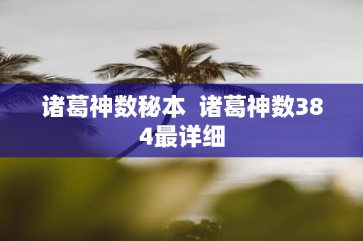 诸葛神数秘本 诸葛神数384最详细