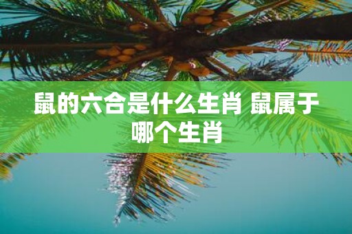 鼠的六合是什么生肖 鼠属于哪个生肖