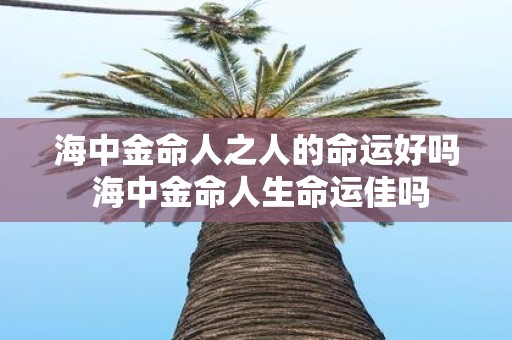 海中金命人之人的命运好吗 海中金命人生命运佳吗