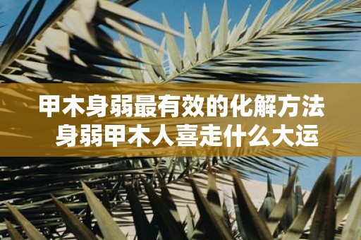 甲木身弱最有效的化解方法 身弱甲木人喜走什么大运