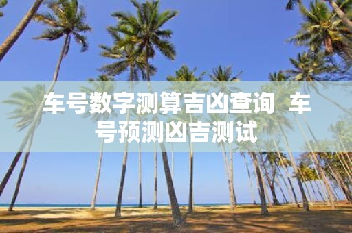 车号数字测算吉凶查询 车号预测凶吉测试