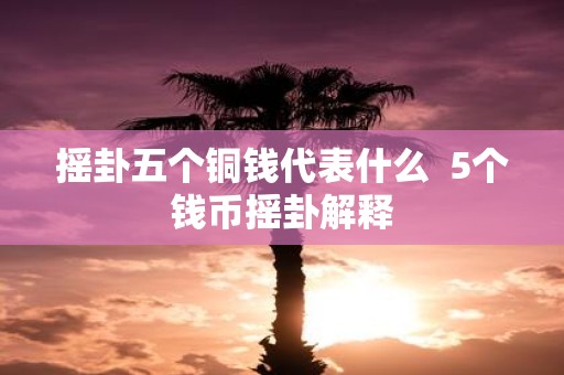 摇卦五个铜钱代表什么 5个钱币摇卦解释