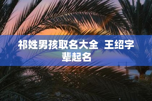 祁姓男孩取名大全 王绍字辈起名