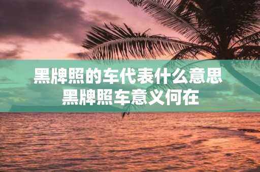 黑牌照的车代表什么意思 黑牌照车意义何在