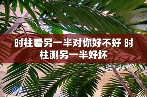 时柱看另一半对你好不好 时柱测另一半好坏