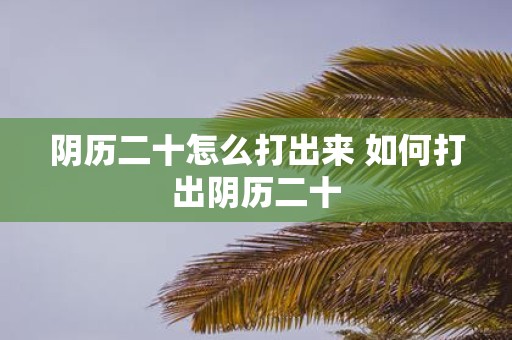 阴历二十怎么打出来 如何打出阴历二十