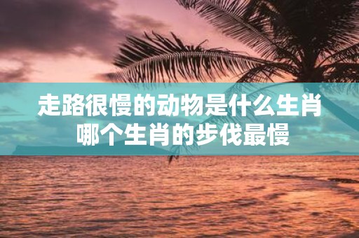 走路很慢的动物是什么生肖 哪个生肖的步伐最慢
