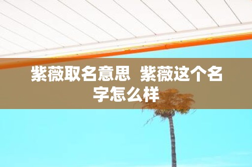 紫薇取名意思 紫薇这个名字怎么样