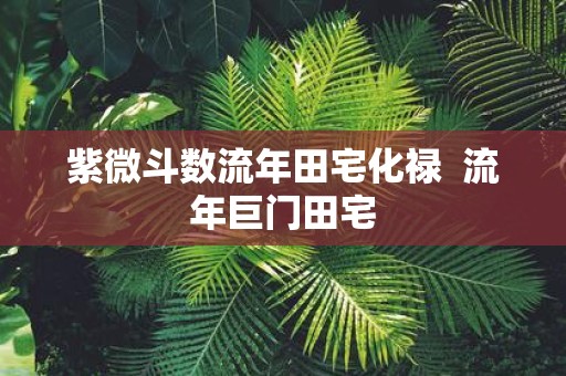 紫微斗数流年田宅化禄 流年巨门田宅