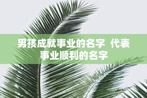 男孩成就事业的名字 代表事业顺利的名字