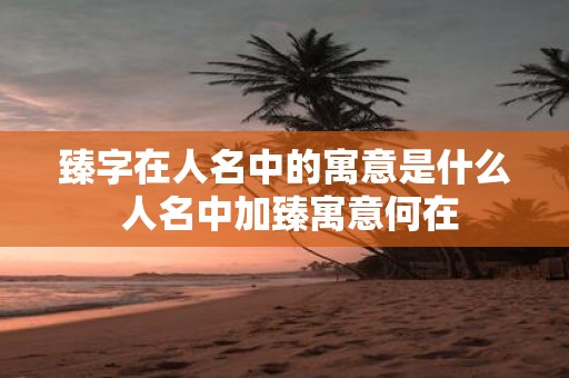 臻字在人名中的寓意是什么 人名中加臻寓意何在