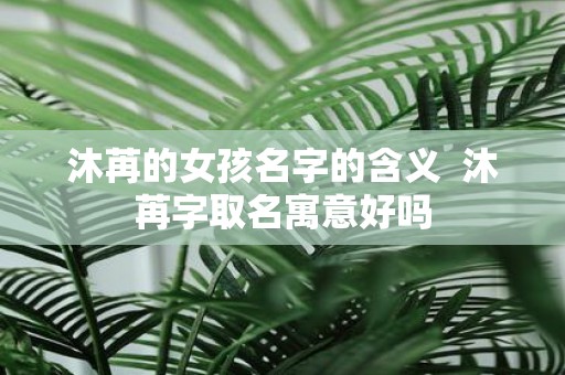 沐苒的女孩名字的含义 沐苒字取名寓意好吗