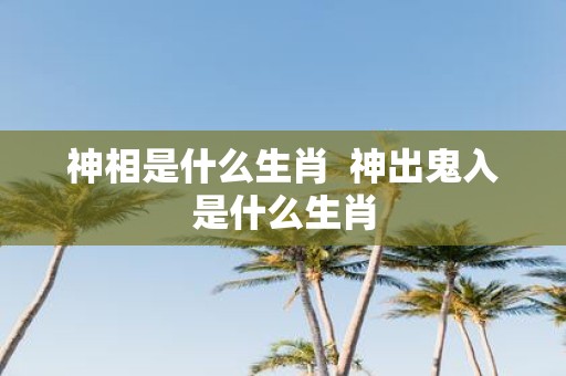神相是什么生肖 神出鬼入是什么生肖