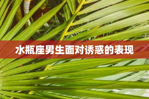 水瓶座男生面对诱惑的表现