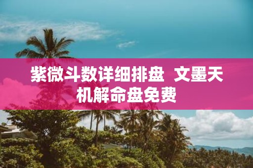 紫微斗数详细排盘 文墨天机解命盘免费