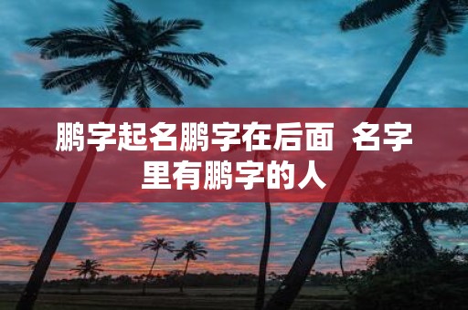 鹏字起名鹏字在后面 名字里有鹏字的人