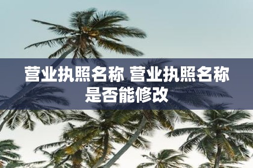 营业执照名称 营业执照名称是否能修改
