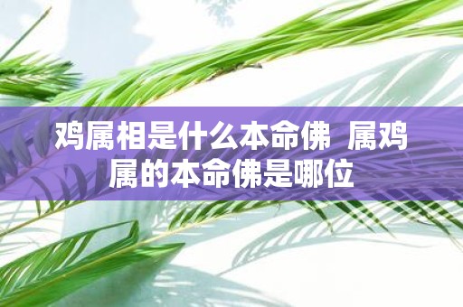 鸡属相是什么本命佛 属鸡属的本命佛是哪位