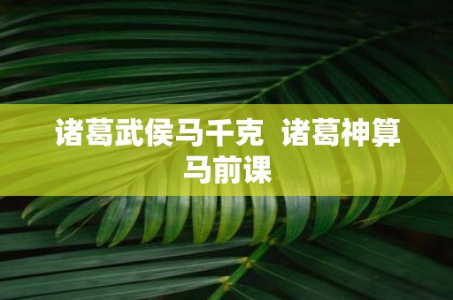 诸葛武侯马千克 诸葛神算马前课