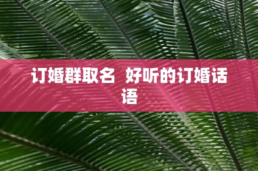 订婚群取名 好听的订婚话语