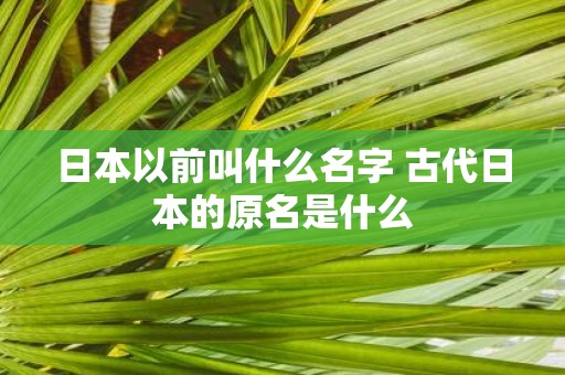 日本以前叫什么名字 古代日本的原名是什么