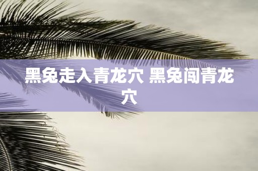 黑兔走入青龙穴 黑兔闯青龙穴