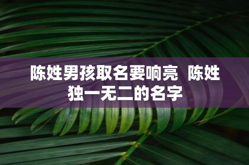 陈姓男孩取名要响亮 陈姓独一无二的名字
