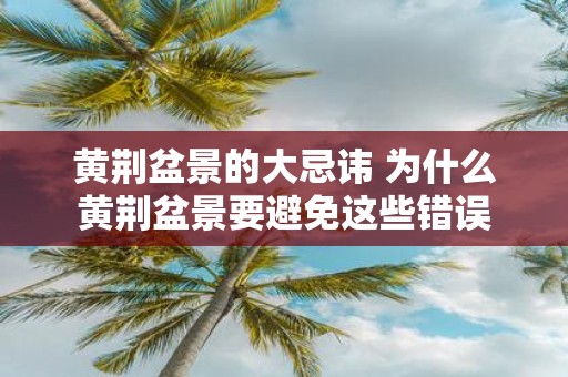 黄荆盆景的大忌讳 为什么黄荆盆景要避免这些错误