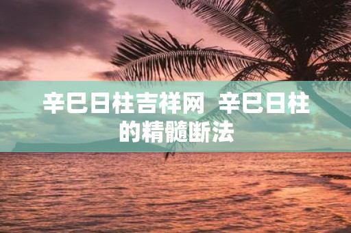 辛巳日柱吉祥网 辛巳日柱的精髓断法
