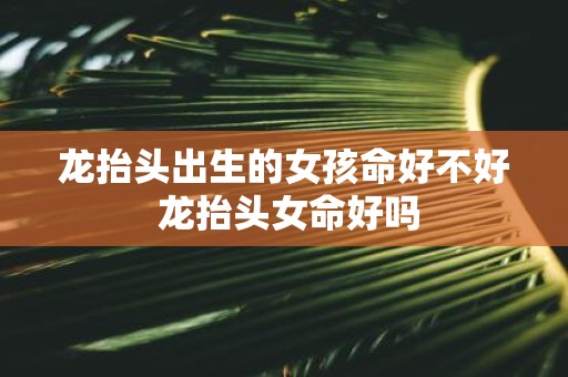 龙抬头出生的女孩命好不好 龙抬头女命好吗