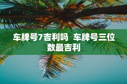 车牌号7吉利吗 车牌号三位数最吉利