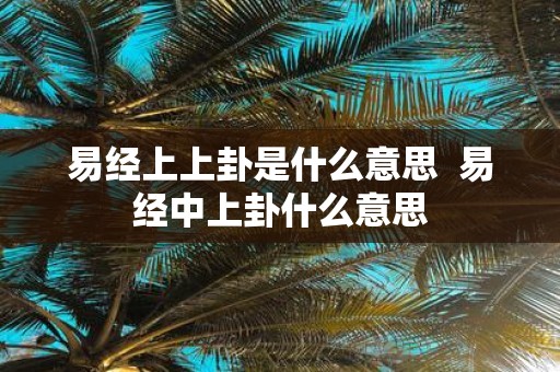 易经上上卦是什么意思 易经中上卦什么意思