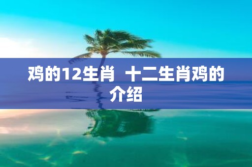鸡的12生肖 十二生肖鸡的介绍