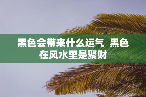 黑色会带来什么运气 黑色在风水里是聚财