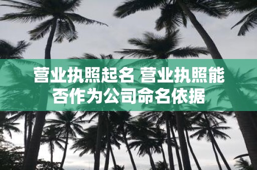 营业执照起名 营业执照能否作为公司命名依据
